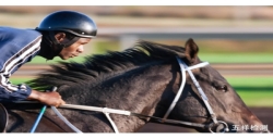 ASTM F1163馬術頭盔測試標準