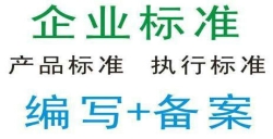 企業(yè)標(biāo)準(zhǔn)備案_