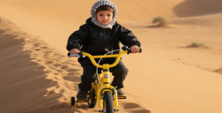 兒童自行車質檢報告辦理周期與檢測項目：如何確保產品符合標準？