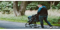 ASTM F833 - 19嬰兒車安全性能規范