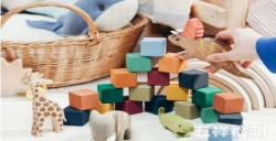 亞馬遜不同國家|玩具法規要求指南