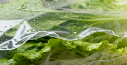 塑料薄膜LFGB認(rèn)證辦理流程